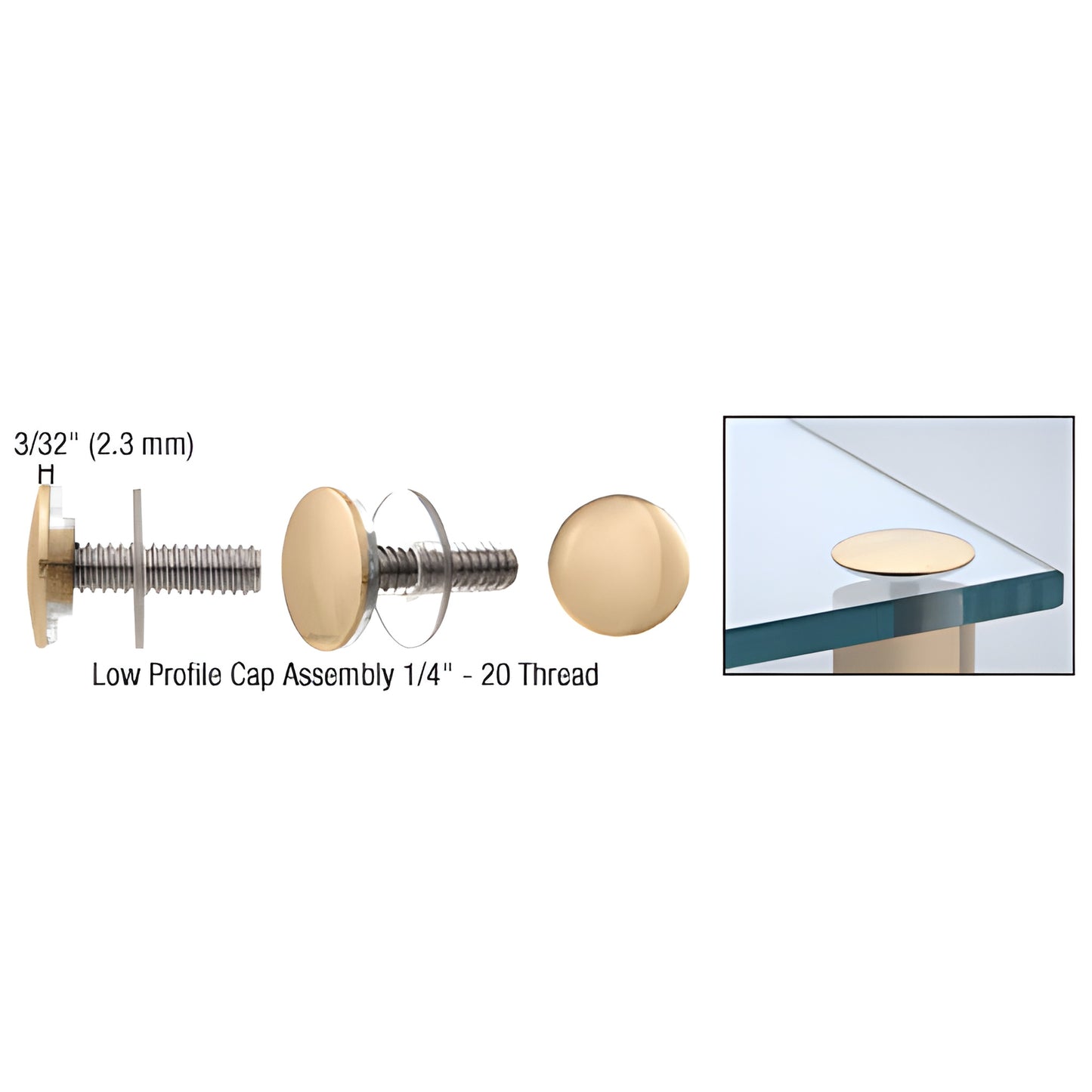Polished brass low-profile standoff cap assembly LPC34BR - 3/4 in dia, shown with screw and washers for signage and displays