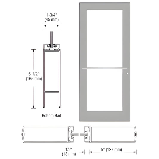 Clear anodized 36x84 commercial center-pivot glass door with 5" stiles and push bar - SKU DC51711R036